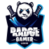 Radge Gamer